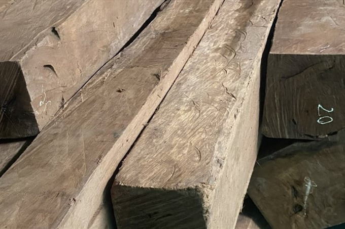 Quảng Trị xử phạt gần 40 triệu đồng 1 người mua lâm sản trái phép