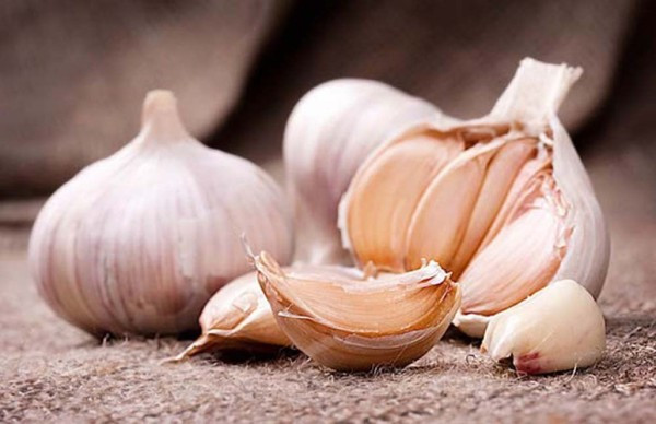 Lợi ích của tỏi giúp cơ thể khỏe mạnh trong mùa đông