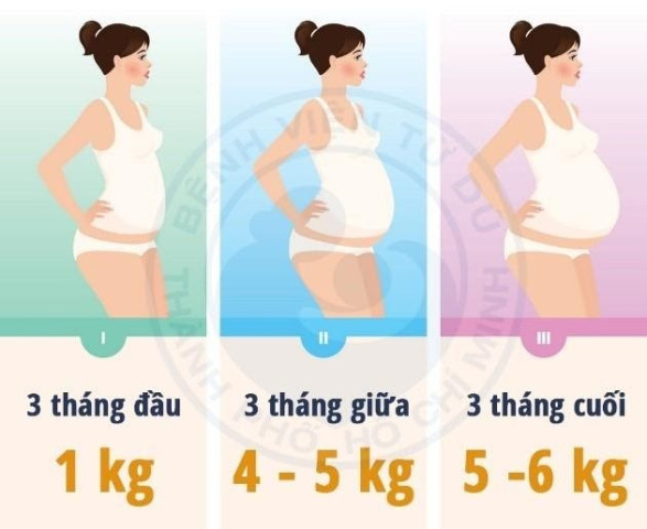 Phòng tránh đái tháo đường thai kỳ và những việc mẹ bầu cần làm