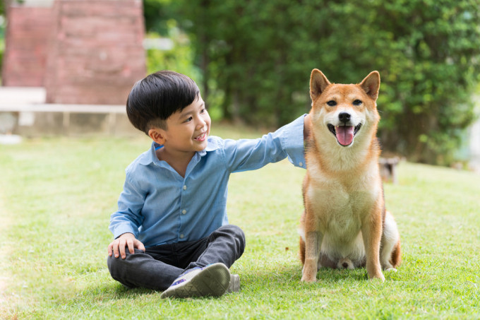 Nuôi thú cưng mang lại nhiều lợi ích đối với sức khỏe