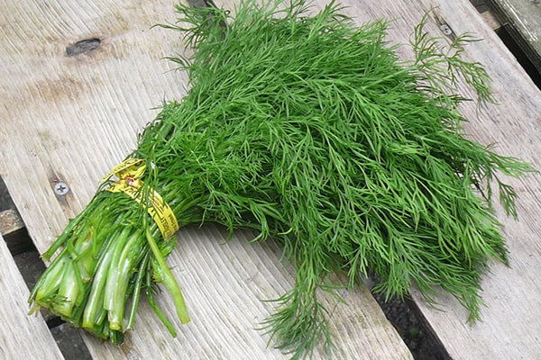 Những lợi ích của trà thì là đối với sức khỏe