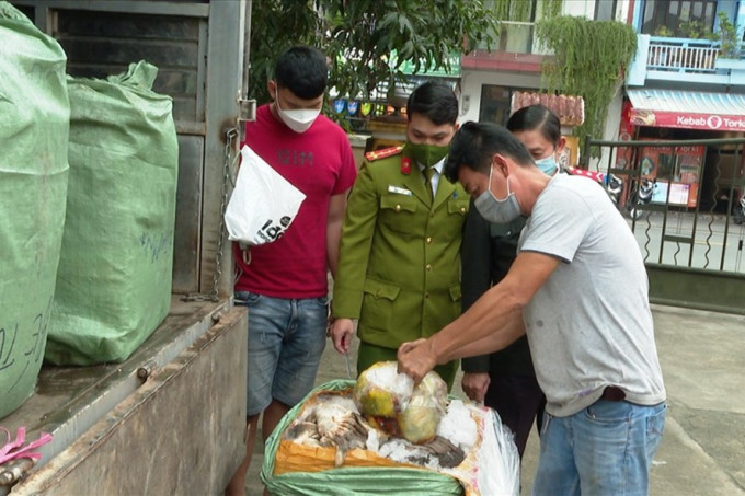 Thừa Thiên Huế phát hiện 1 ô tô chở hơn 1 tấn nội tạng động vật không rõ nguồn gốc xuất xứ