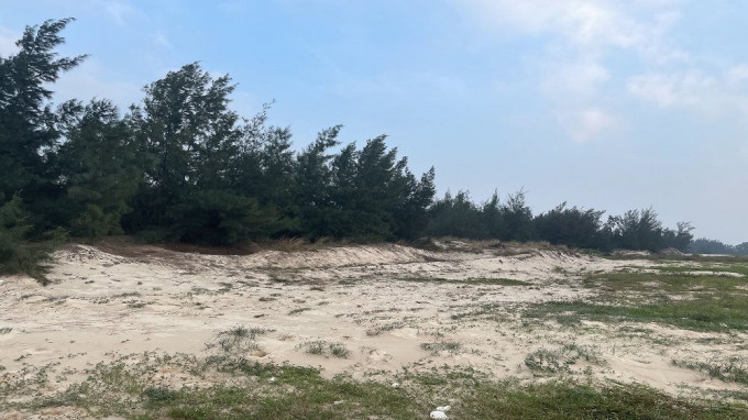 Quảng Bình bảo vệ “lá phổi xanh” ven biển