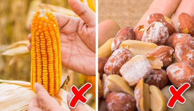 Điều gì xảy ra nếu ăn nhầm nấm mốc