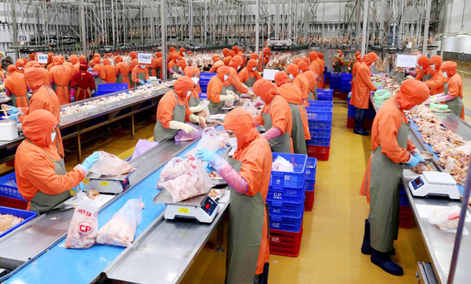 Kiểm soát cơ sở giết mổ gia súc, gia cầm những ngày gần Tết