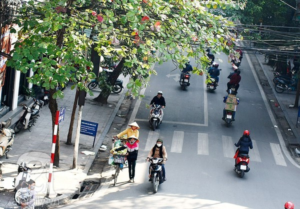 Dự báo thời tiết ngày 14/1: Bắc Bộ trưa, chiều hửng nắng