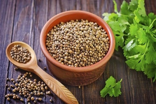 Lợi ích sức khỏe tuyệt vời của hạt rau mùi