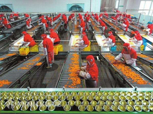 Đắk Nông xử phạt các cơ sở chế biến nông sản gây ô nhiễm không khí