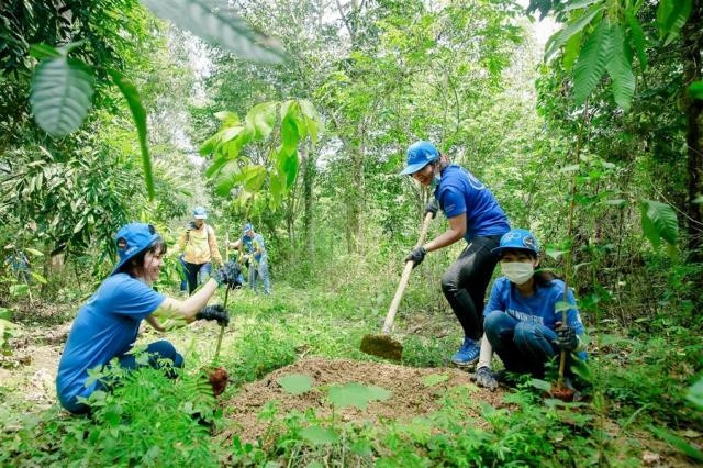 Đề án nâng cao năng lực cho lực lượng kiểm lâm trong công tác quản lý, bảo vệ rừng và phòng cháy, chữa cháy rừng giai đoạn 2021 – 2030