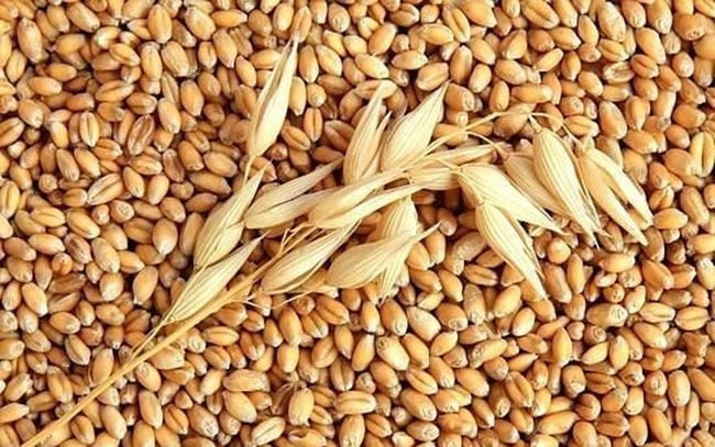 Các thực phẩm giàu mangan tốt cho sức khỏe