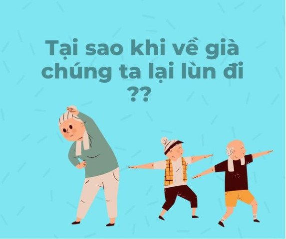Tại sao khi về già chúng ta lùn đi?
