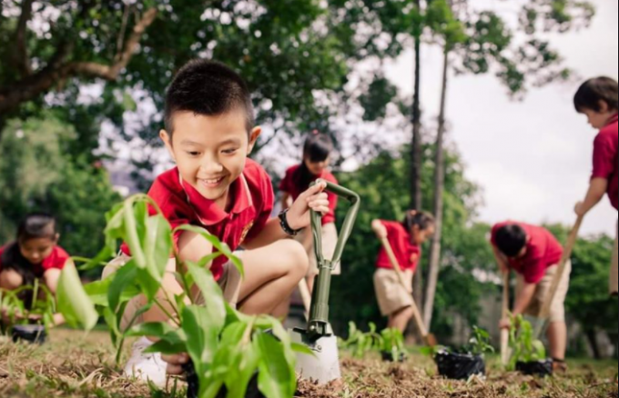 Ngành Giáo dục phát động phong trào trồng cây xanh