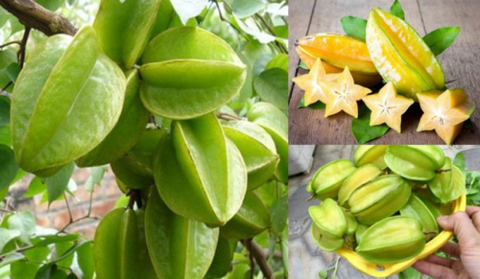 Khi ăn khế cần lưu ý những điều gì?