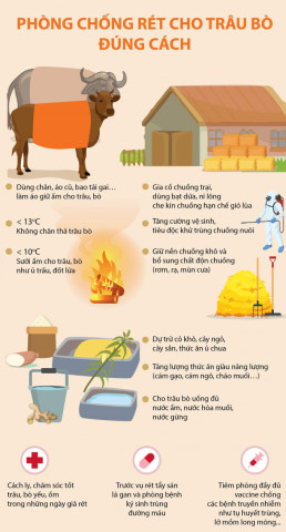 Gợi ý những kỹ thuật phòng, chống đói rét, dịch bệnh ở gia súc, gia cầm