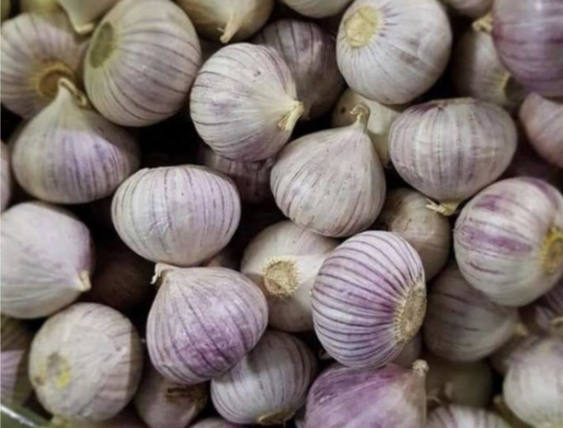 Tỏi một nhánh mang lại nhiều lợi ích cho sức khỏe