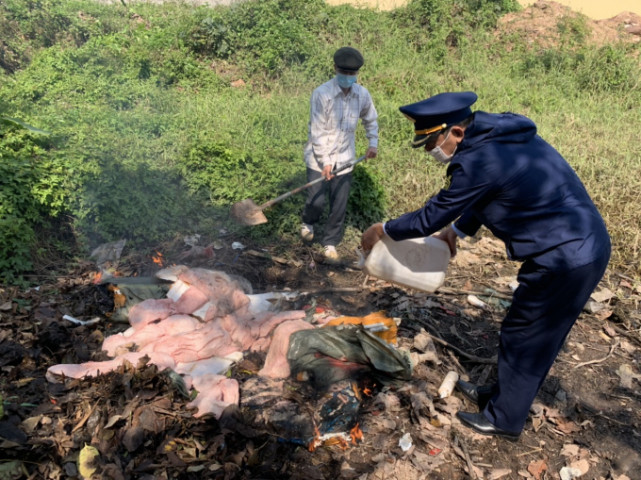 Quảng Ninh phát hiện, thu giữ và tiêu hủy 300 kg nầm lợn không rõ nguồn gốc xuất xứ
