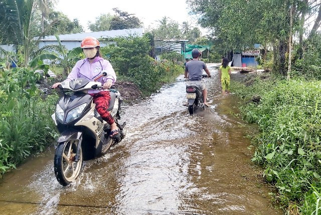 Cà Mau chủ động phối hợp ứng phó kỳ triều cường đột xuất