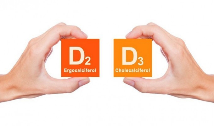 Sự khác biệt đáng kể giữa việc bổ sung vitamin D2 và vitamin D3