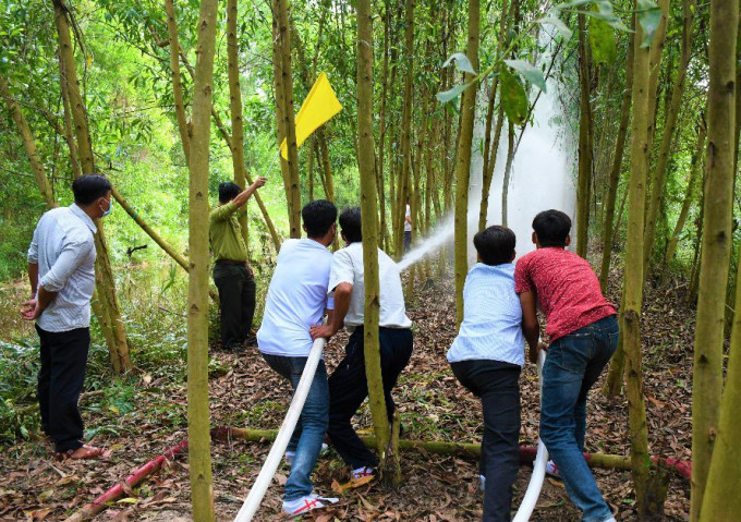 Cà Mau chủ động phương án phòng, chống cháy rừng mùa khô