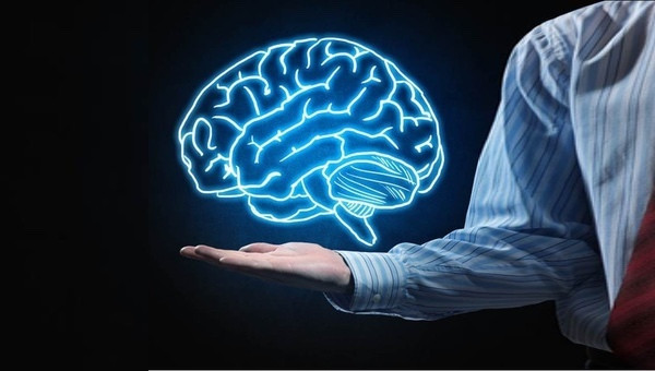 Não con người tổ chức ký ức như thế nào?