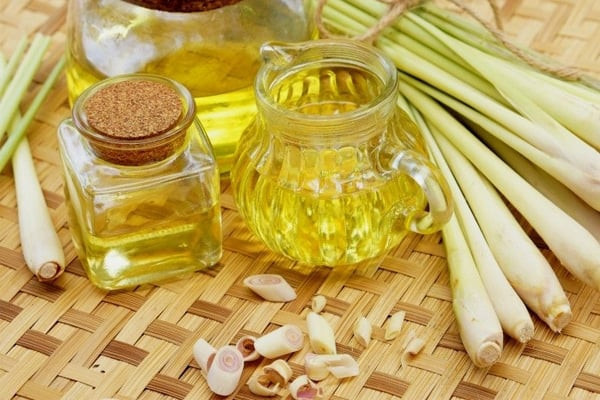 Những lợi ích bất ngờ của cây sả