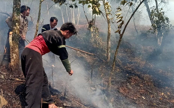Yên Bái chủ động ngăn chặn và kiểm soát lửa rừng