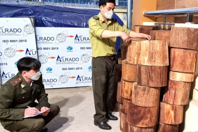 Hà Giang phát hiện và thu giữ 46 khúc gỗ nghiến dạng thớt