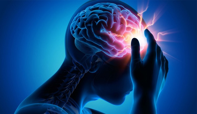 Xác định cơ chế kiểm soát cơn đau của não bộ