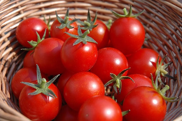 8 lợi ích giảm cân của quả cà chua