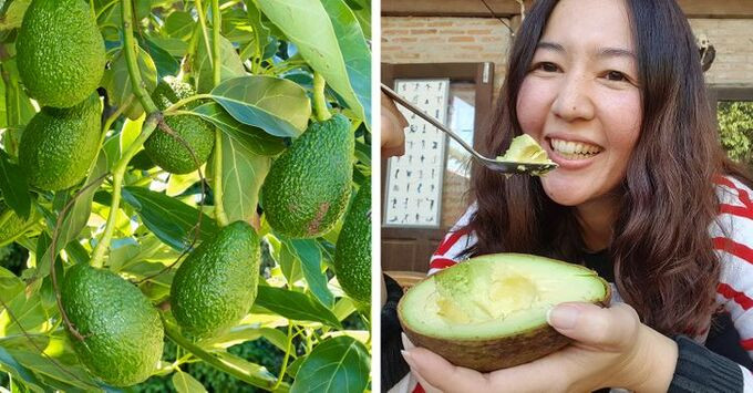 Những loại thực phẩm giúp giảm bớt cơn đau nửa đầu
