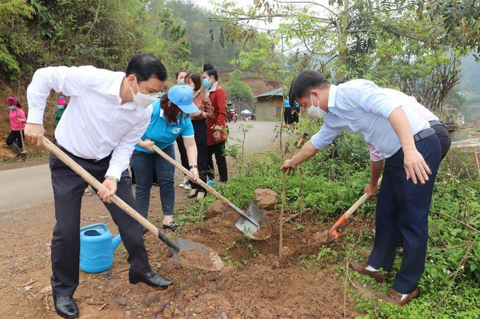Sơn La: Hội Liên hiệp phụ nữ tỉnh phấn đấu trồng trên 10.000 cây xanh