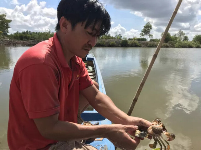 Cà Mau đã tìm ra nguyên nhân cua biển chết bất thường trên diện rộng