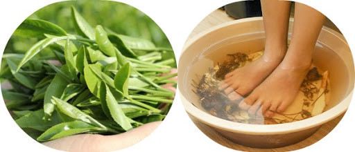 Ngâm chân với trà xanh mang lại nhiều lợi ích cho sức khỏe