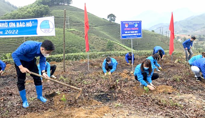 Phú Thọ: Tuổi trẻ Đất Tổ chung tay trồng 1 tỷ cây xanh