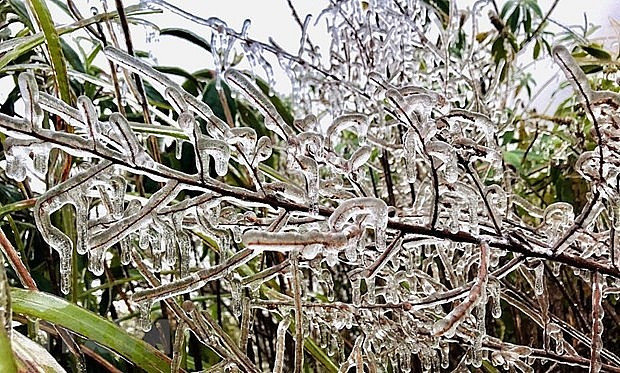Lào Cai: Đỉnh núi Fansipan bao phủ trắng tuyết thu hút khách du lịch
