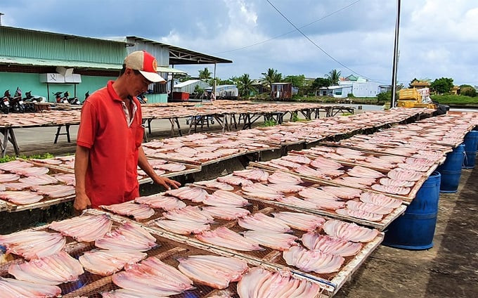 Cà Mau thực hiện di dời các cơ sở sản xuất gây ô nhiễm môi trường vào khu, cụm công nghiệp