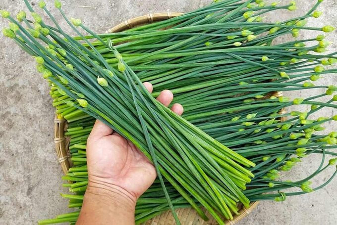 3 loại rau giúp dạ dày khoẻ, 3 loại thực phẩm người bị dạ dày cần tránh