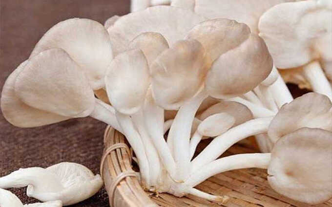 Những lưu ý khi sử dụng nấm sò
