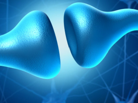 Thờ ơ là triệu chứng đầu tiên của bệnh Alzheimer