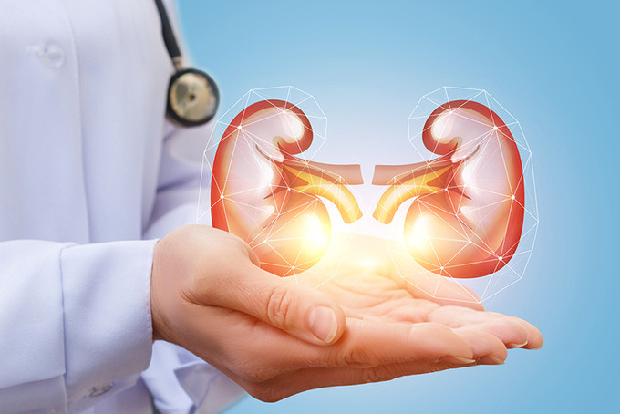 Dưỡng thận bằng các biện pháp hữu hiệu