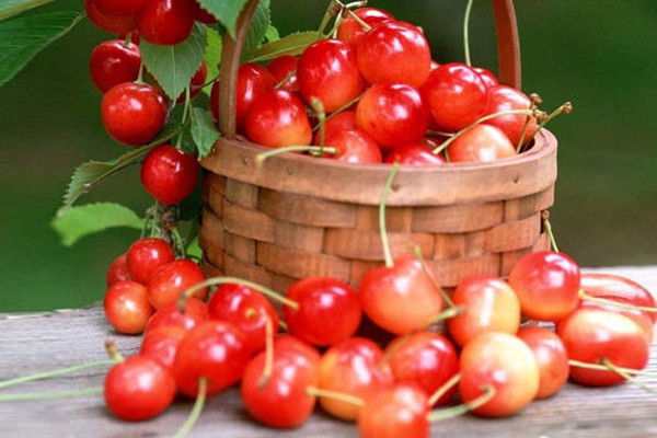 Cách dùng quả anh đào làm đẹp da