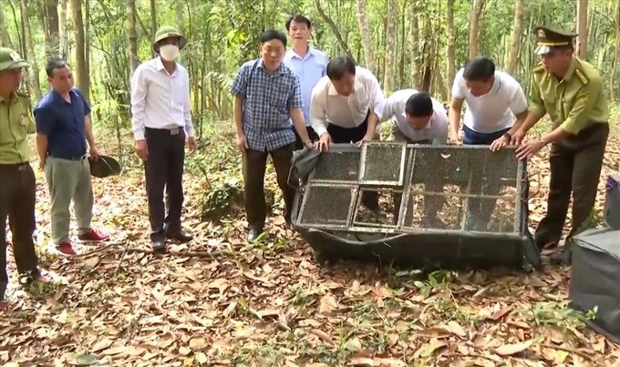 Quảng Bình thả 135 cá thể động vật hoang dã về môi trường tự nhiên