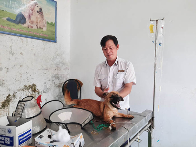 Cà Mau chủ động phòng, chống bệnh dại trên vật nuôi