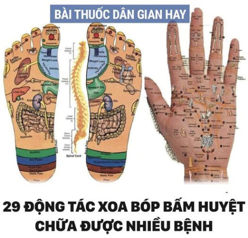 29 động tác xoa bóp bấm huyệt chữa được nhiều bệnh