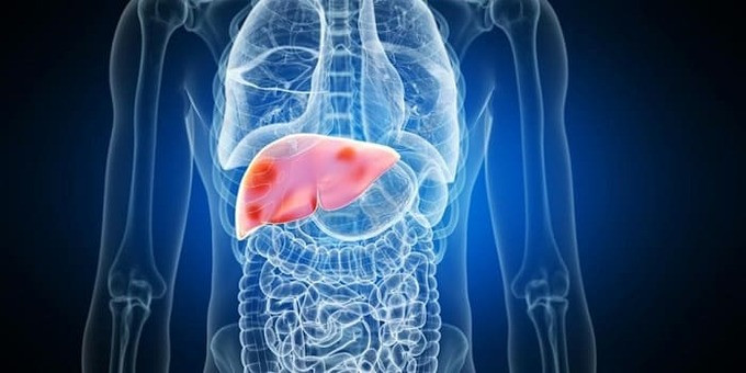 Nhiều yếu tố trong cuộc sống có thể ảnh hưởng tới chức năng gan