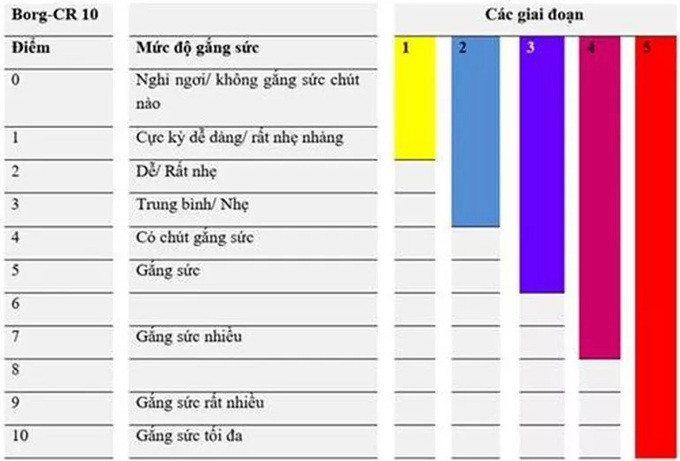 Tập thể dục giúp cải thiện sức mạnh và sức bền của các cơ đối với "cựu F0"