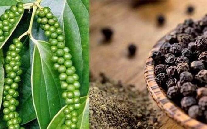 Công thức giải độc và giảm cân với thức uống làm từ hạt tiêu đen và đinh hương