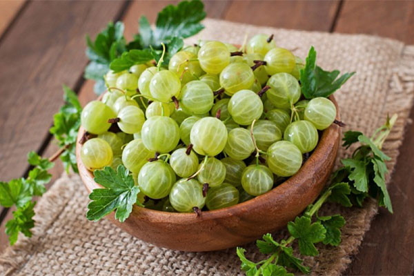 5 lợi ích sức khỏe tuyệt vời của nước ép me rừng khi dạ dày trống rỗng