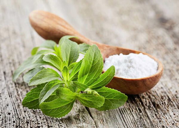 Những công dụng của cỏ ngọt đối với bệnh nhân đái tháo đường