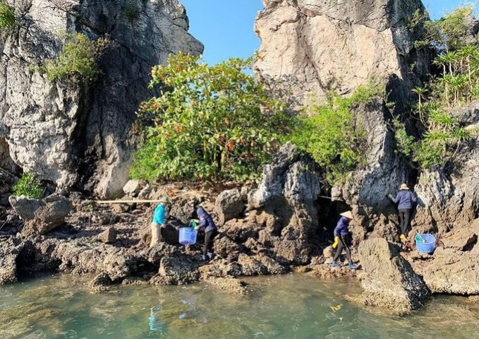 Quảng Ninh: Bảo vệ Trái đất với phương châm "Sống bền vững hài hòa với thiên nhiên”